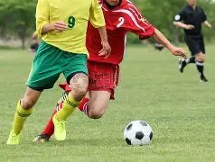 北青网曝灰,熊全力追求,卡梅隆,欧博娱乐,欧博娱乐官网