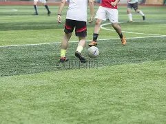 大乐透期号,专家推荐,分析魔术队,欧博娱乐,欧博娱乐官网